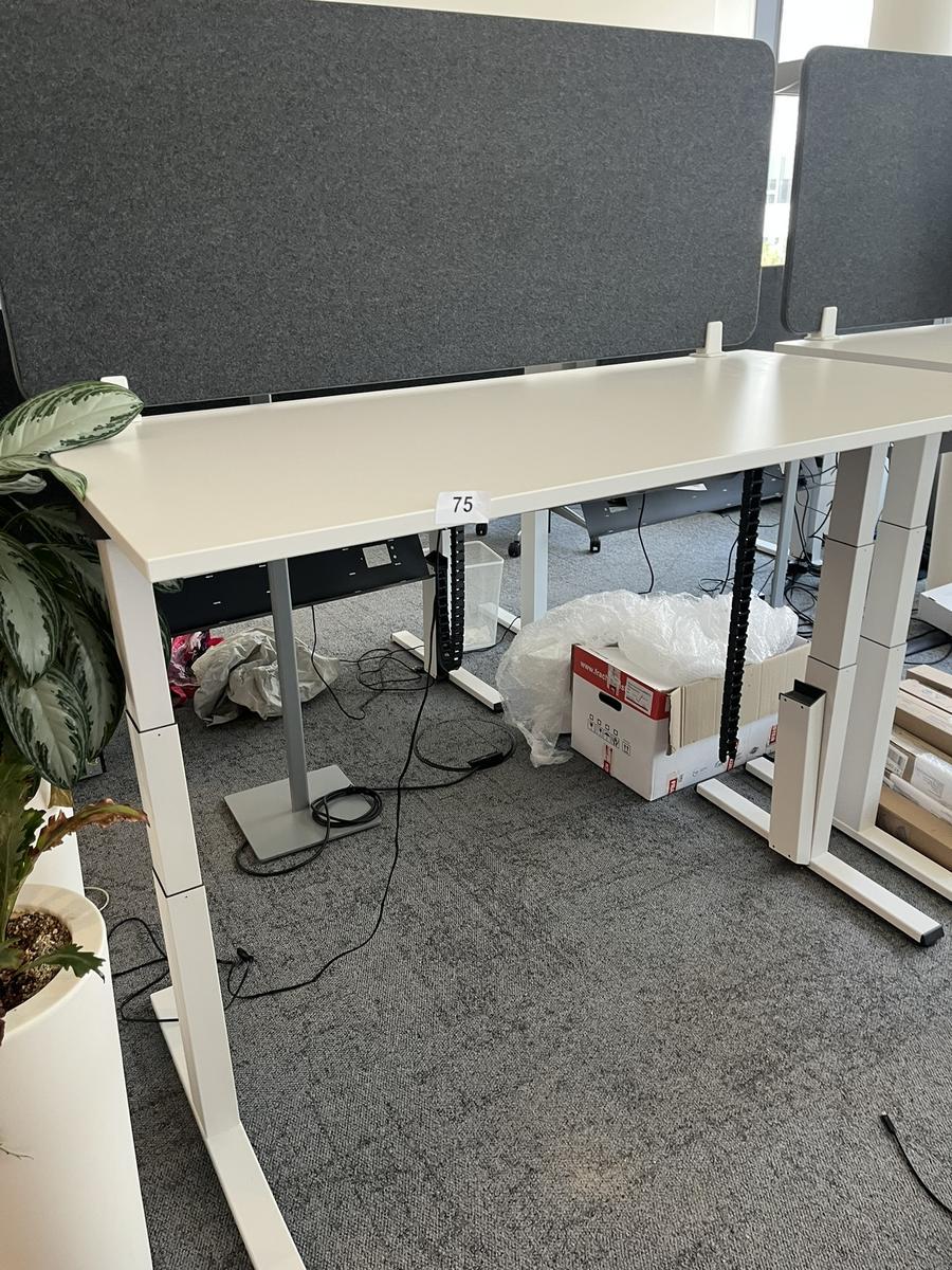 Sitz-,Steh-,Schreibtisch 160x80 cm , Steelcase elektrisch höhenverstellbar ca.65/120cm mit Sichtblende abnehmbar, Baujahr 2021?d=2025-05-21 23:27:32