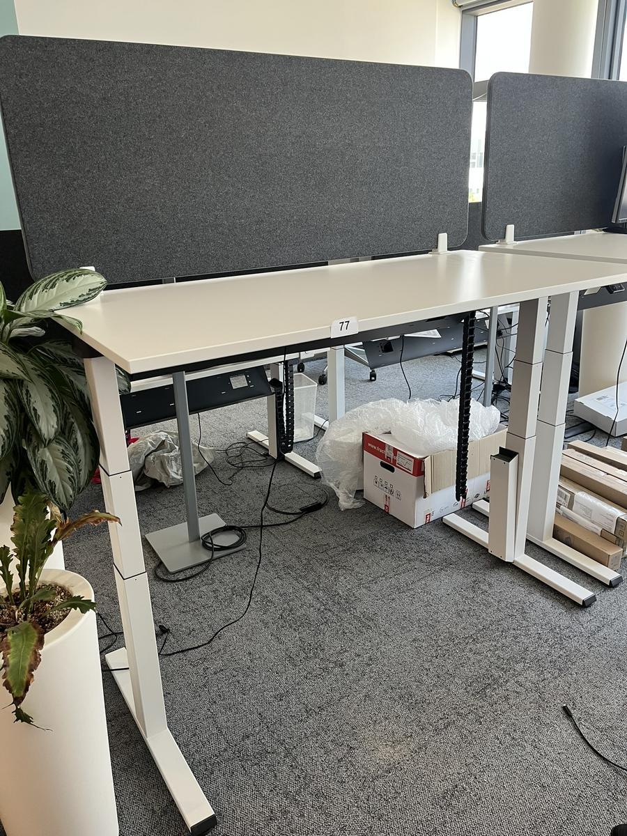 Sitz-,Steh-,Schreibtisch 160x80 cm , Steelcase elektrisch höhenverstellbar ca.65/120cm mit Sichtblende abnehmbar, Baujahr 2021?d=2025-05-21 17:31:24