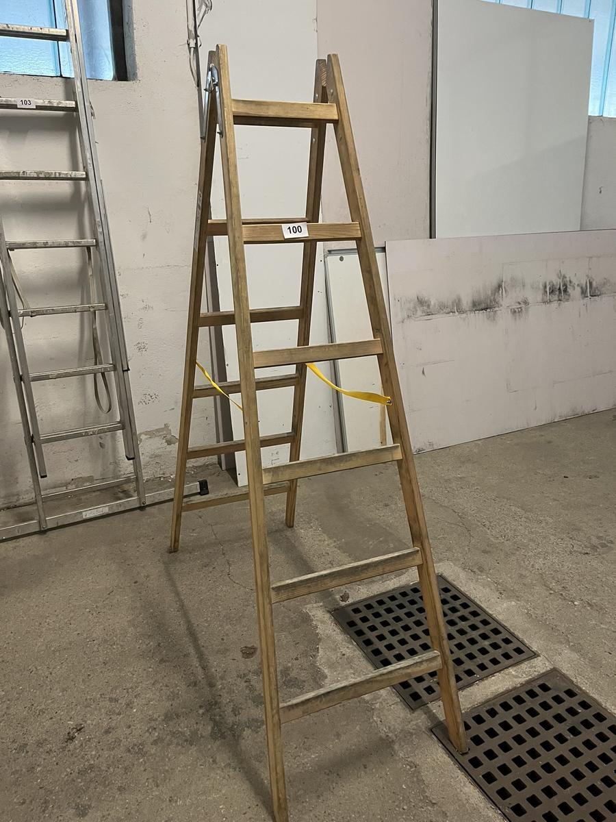 Holz-,Doppelstehleiter Steiner neuwertig 2 x 6 Sprossen?d=2025-12-06 05:57:07
