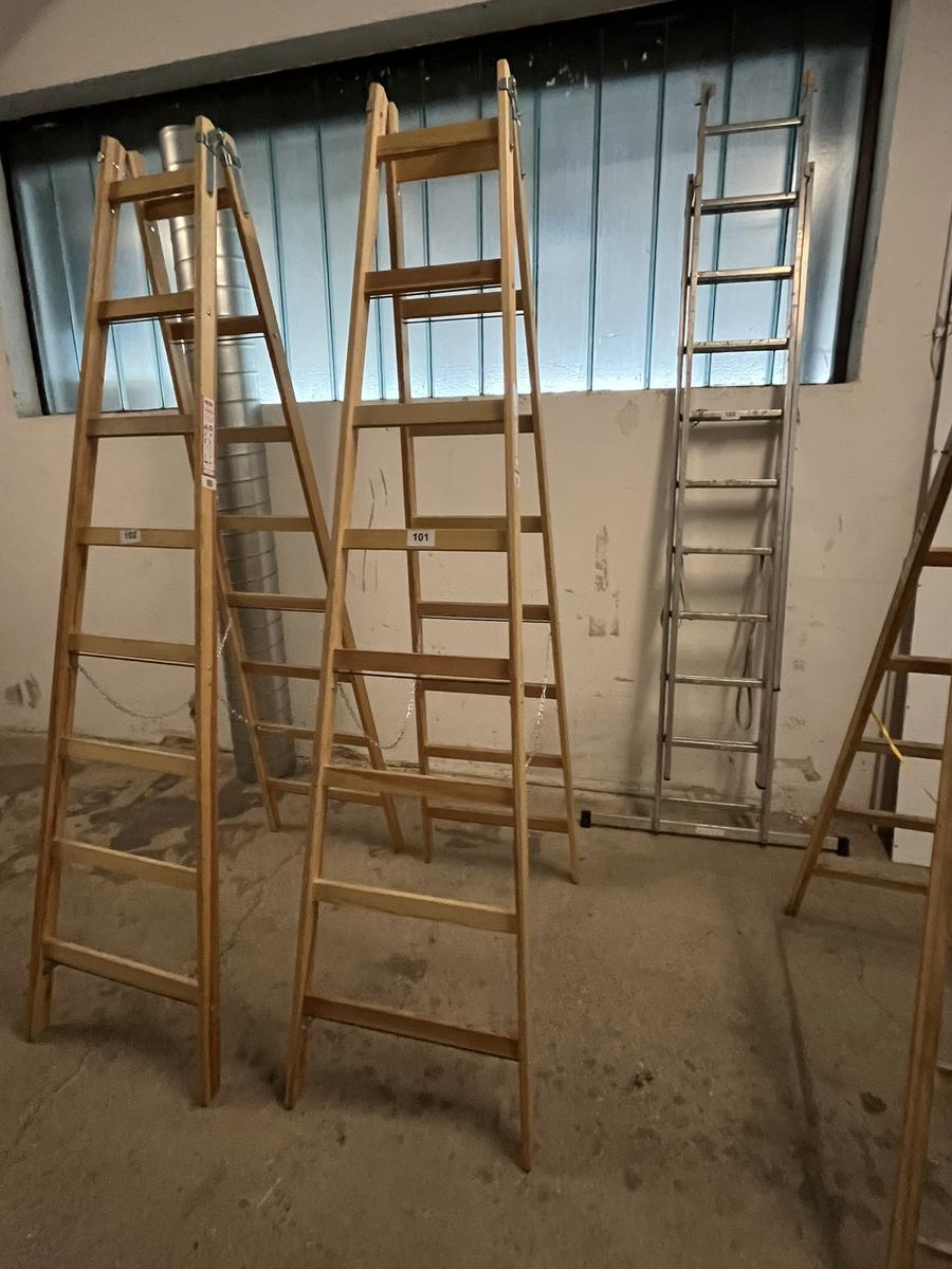 Holz-,Doppelstehleiter Steiner neuwertig 2 x 8 Sprossen?d=2025-12-06 05:58:24