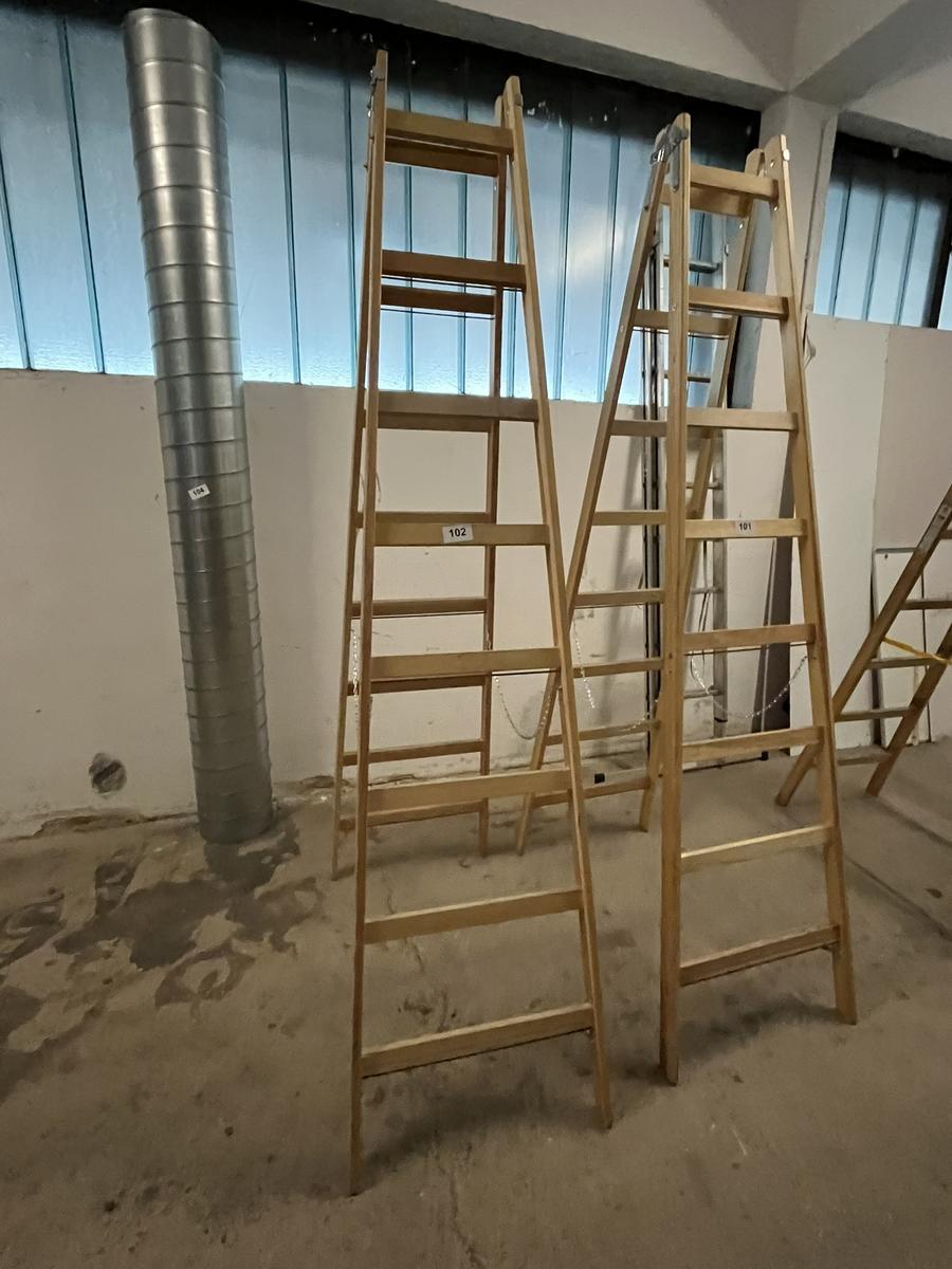 Holz-,Doppelstehleiter Steiner neuwertig 2 x 8 Sprossen?d=2025-12-06 05:53:27