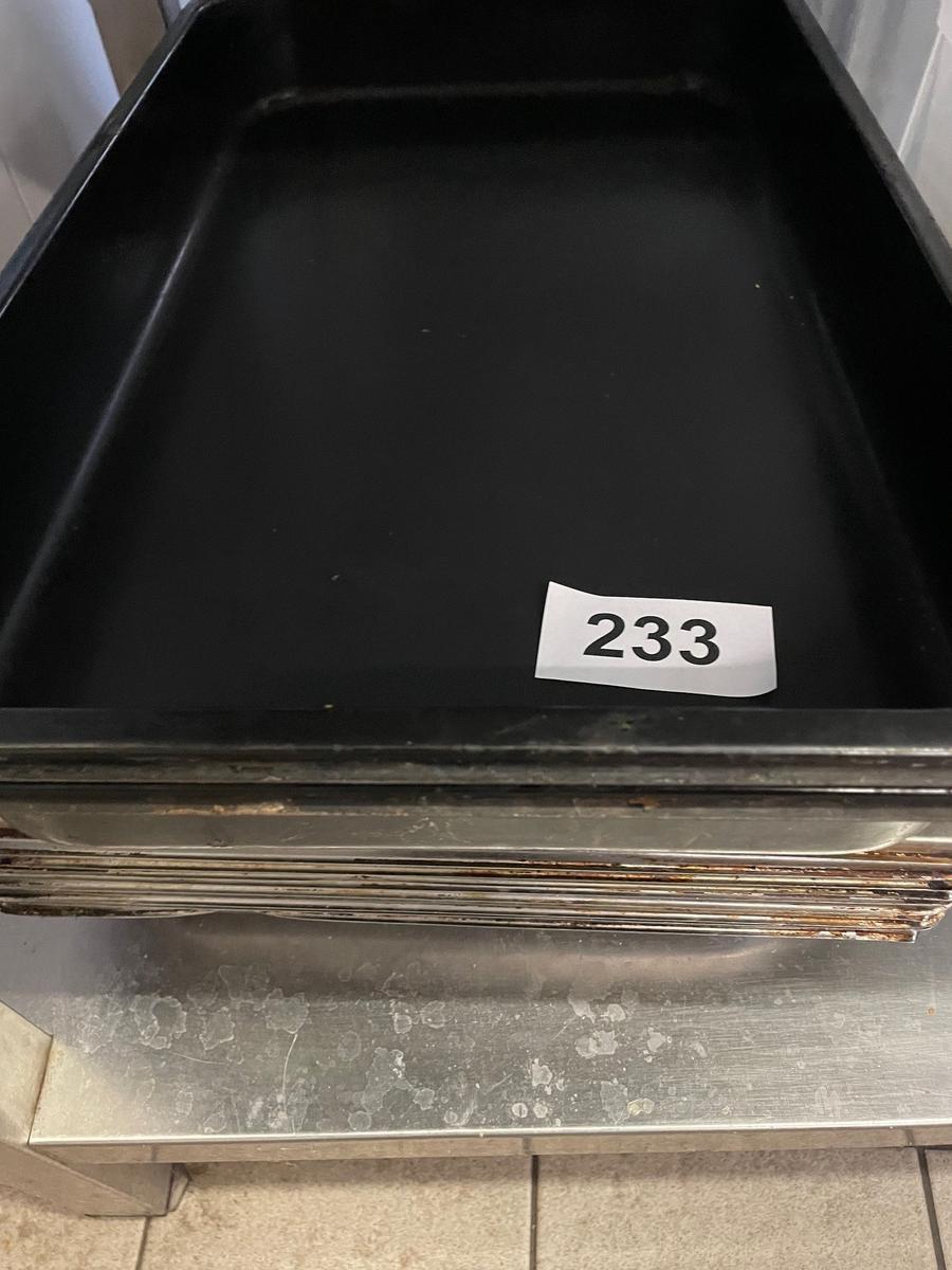 15 Stk. Bleche 1/1 mit 4cm, 3 Stk. Bleche 1/1 mit 8 cm, 2 Stk. Lochgitter 1/1 mit 3 cm?d=2025-12-06 06:59:40