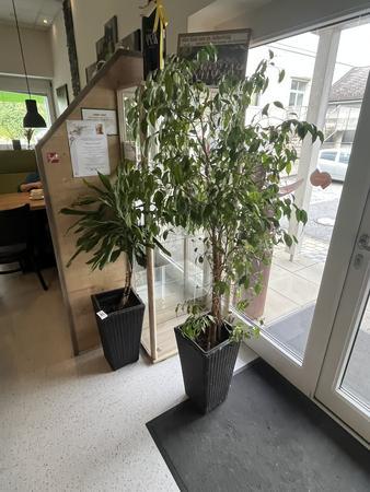 4 Stück DEKO Pflanzentöpfe 4 Stück DEKO Pflanzentöpfe