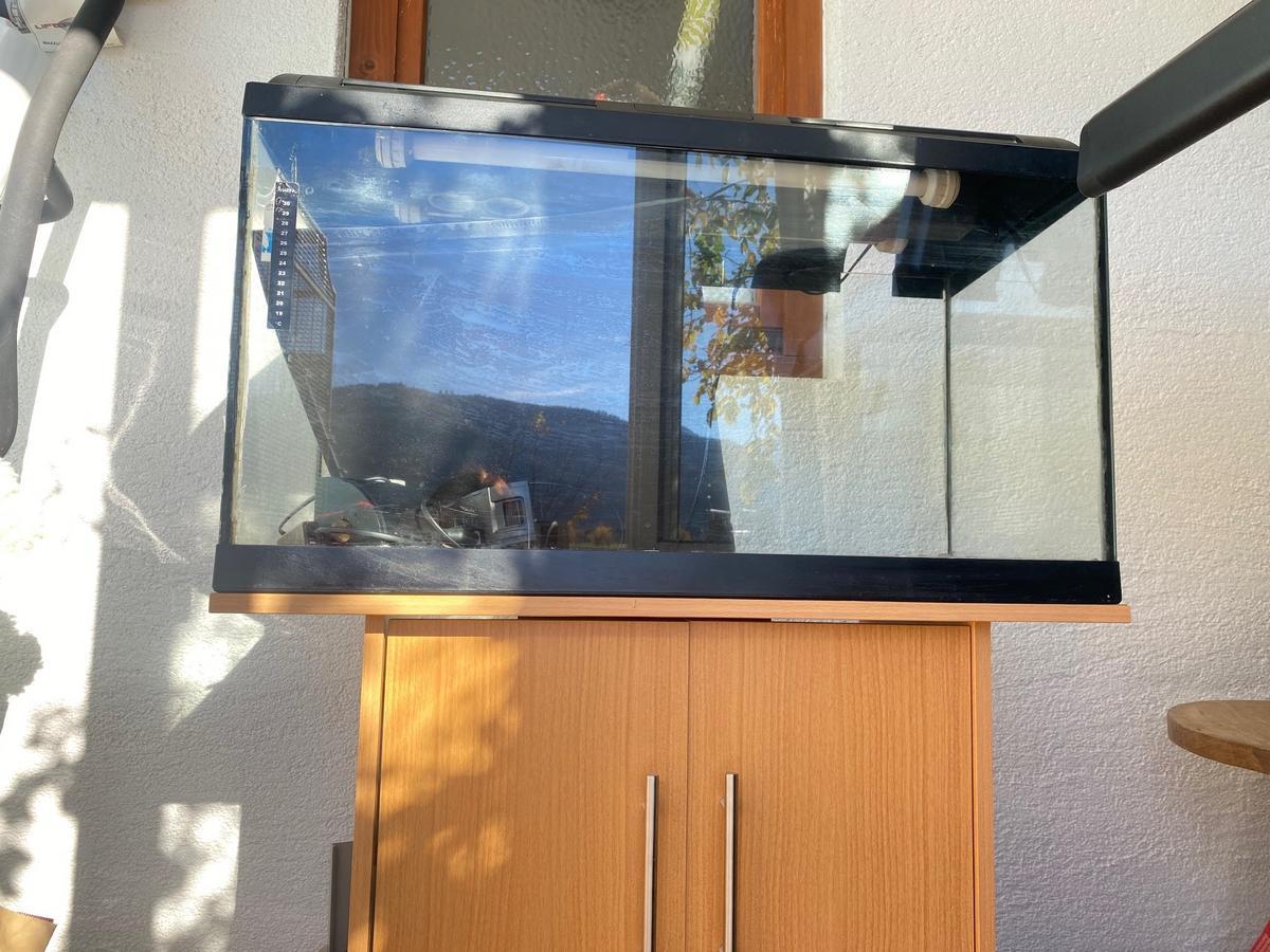 Aquarium  mit Unterschrank ca 110 liter?d=2026-03-07 06:04:57