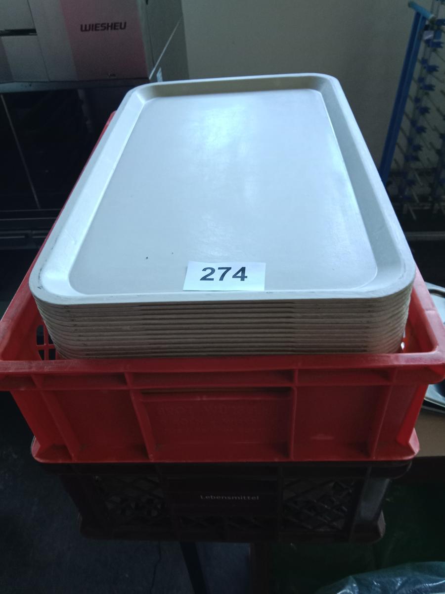 ca. 50 Stk. Plastiktablett?d=2026-03-07 09:01:32