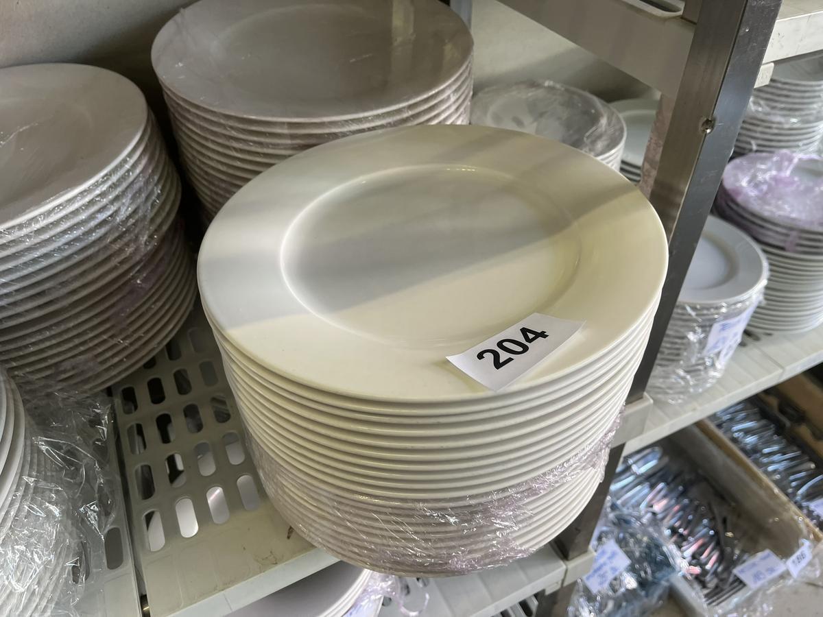 85 Stk. Speisenteller, 30cm DM?d=2026-04-14 12:40:30