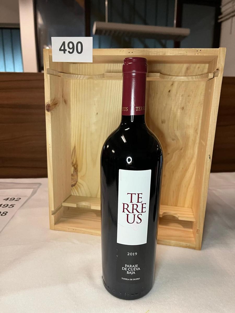 2 Stk. Terreus 2019 Paraje de Cueva Baja?d=2026-04-14 07:54:47