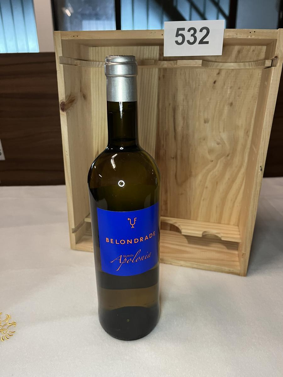 20 Stk. BELONDRADE Quinta Apolonia 2021?d=2026-04-14 12:39:34