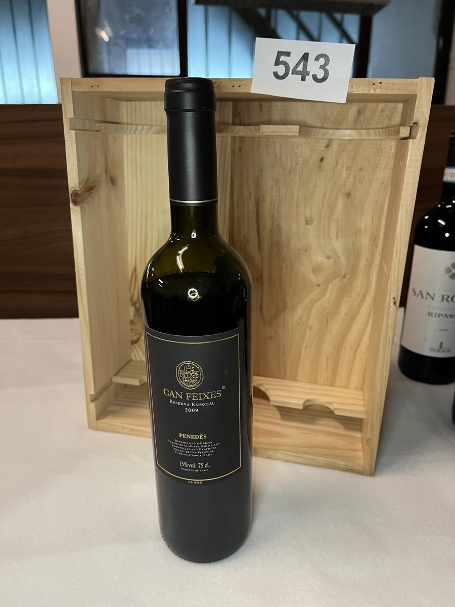 10 Stk. CAN FEIXES 2009 Reserva Especial Penedes?d=2026-04-14 12:39:36