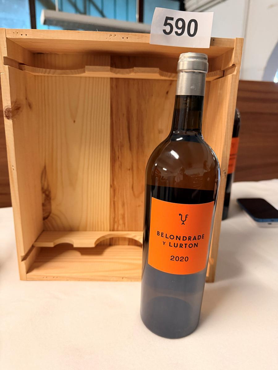 16 Stk. BELONDRADE Y LURTON 2020?d=2026-04-14 13:08:09