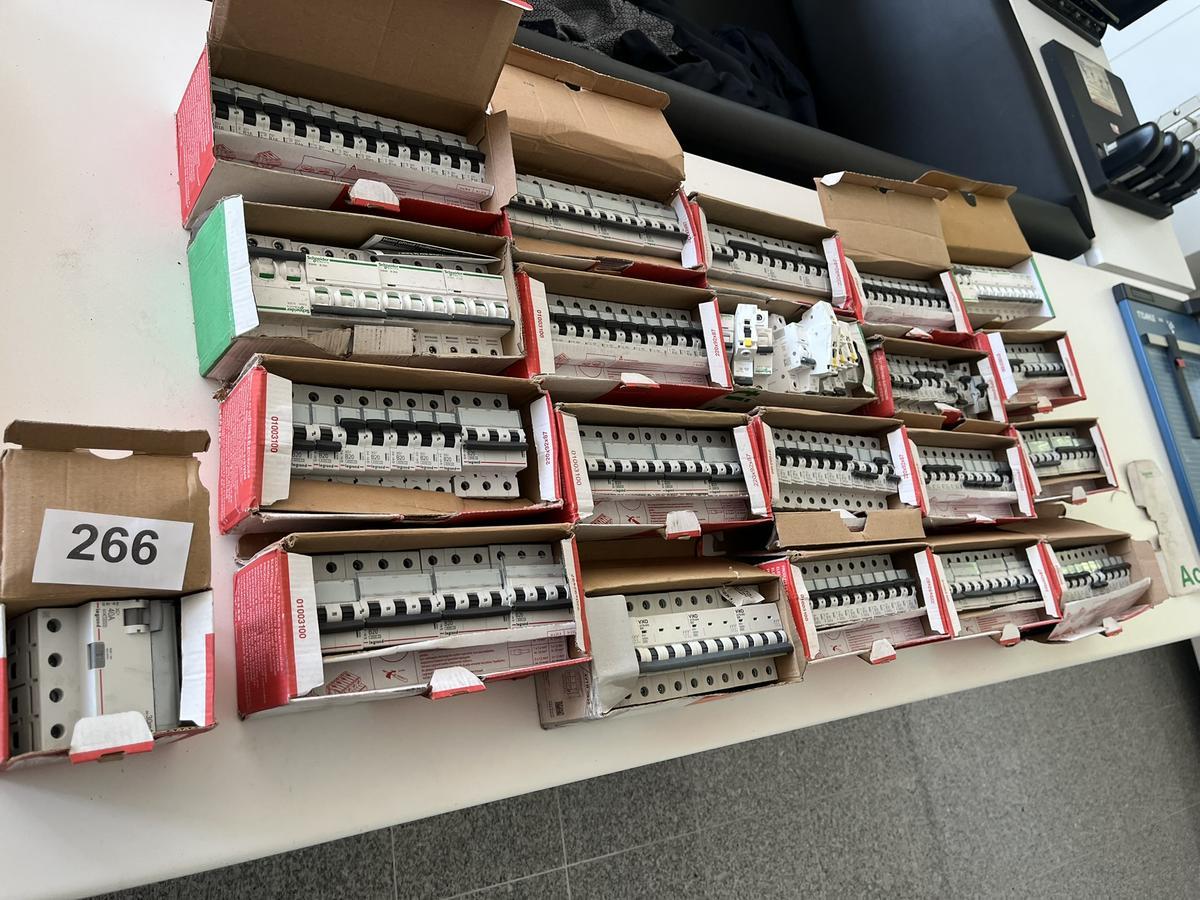 21 Kartons mit Legrand/Schneider Leistungsschutzschalter?d=2026-05-25 22:20:31