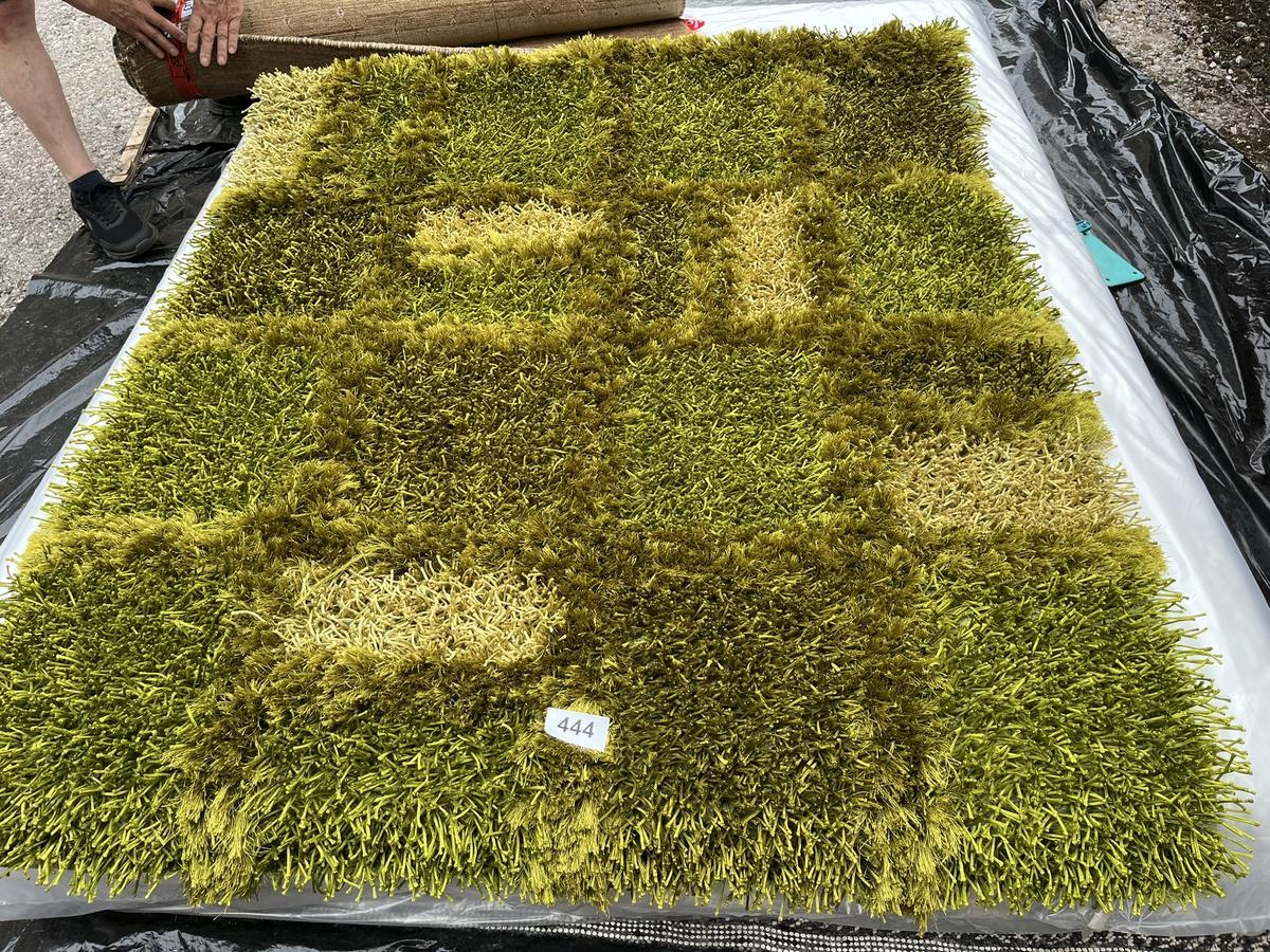 Teppich ca. 225 x 170 cm?d=2026-06-13 11:51:21